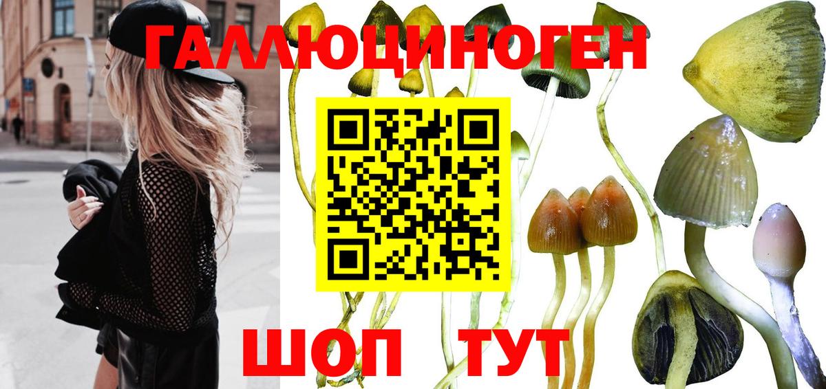Псилоцибиновые грибы MAGIC MUSHROOMS Обнинск